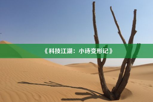 《科技江湖：小诗变形记》