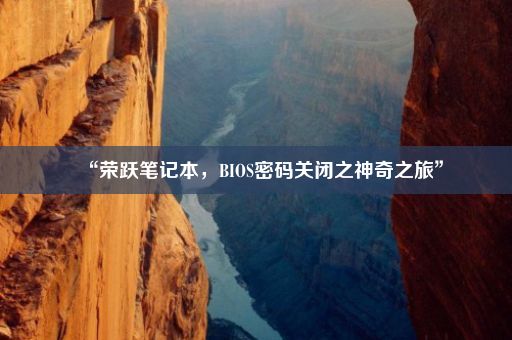 “荣跃笔记本，BIOS密码关闭之神奇之旅”