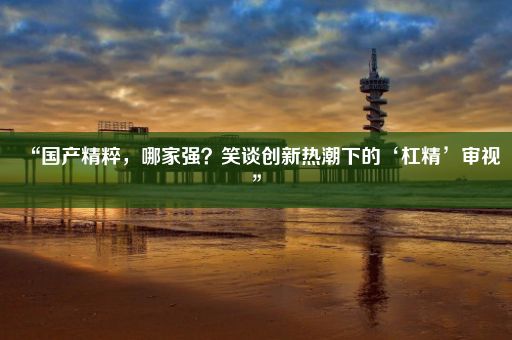 “国产精粹，哪家强？笑谈创新热潮下的‘杠精’审视”