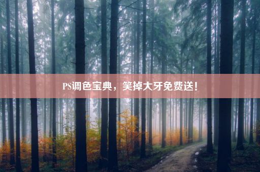 PS调色宝典，笑掉大牙免费送！