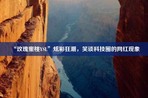 “玫瑰蜜桃YSL”炫彩狂潮，笑谈科技圈的网红现象