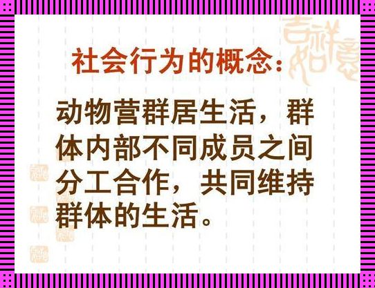 “人畜同行情未了：笑谈网友热议的新趋势”