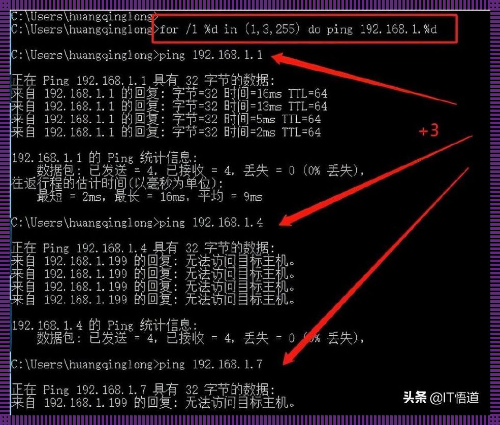 “禁Ping大作战”：运营商的“公网IP”之谜