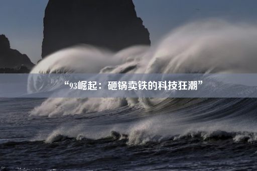 “93崛起：砸锅卖铁的科技狂潮”
