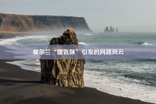 爱尔兰“腹饥妹”引发的网路风云