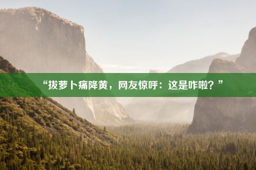 “拔萝卜痛降黄，网友惊呼：这是咋啦？”