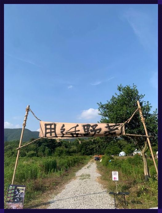 “采意”与“方澄”：科技界的“绝代双骄”引爆全球眼球！