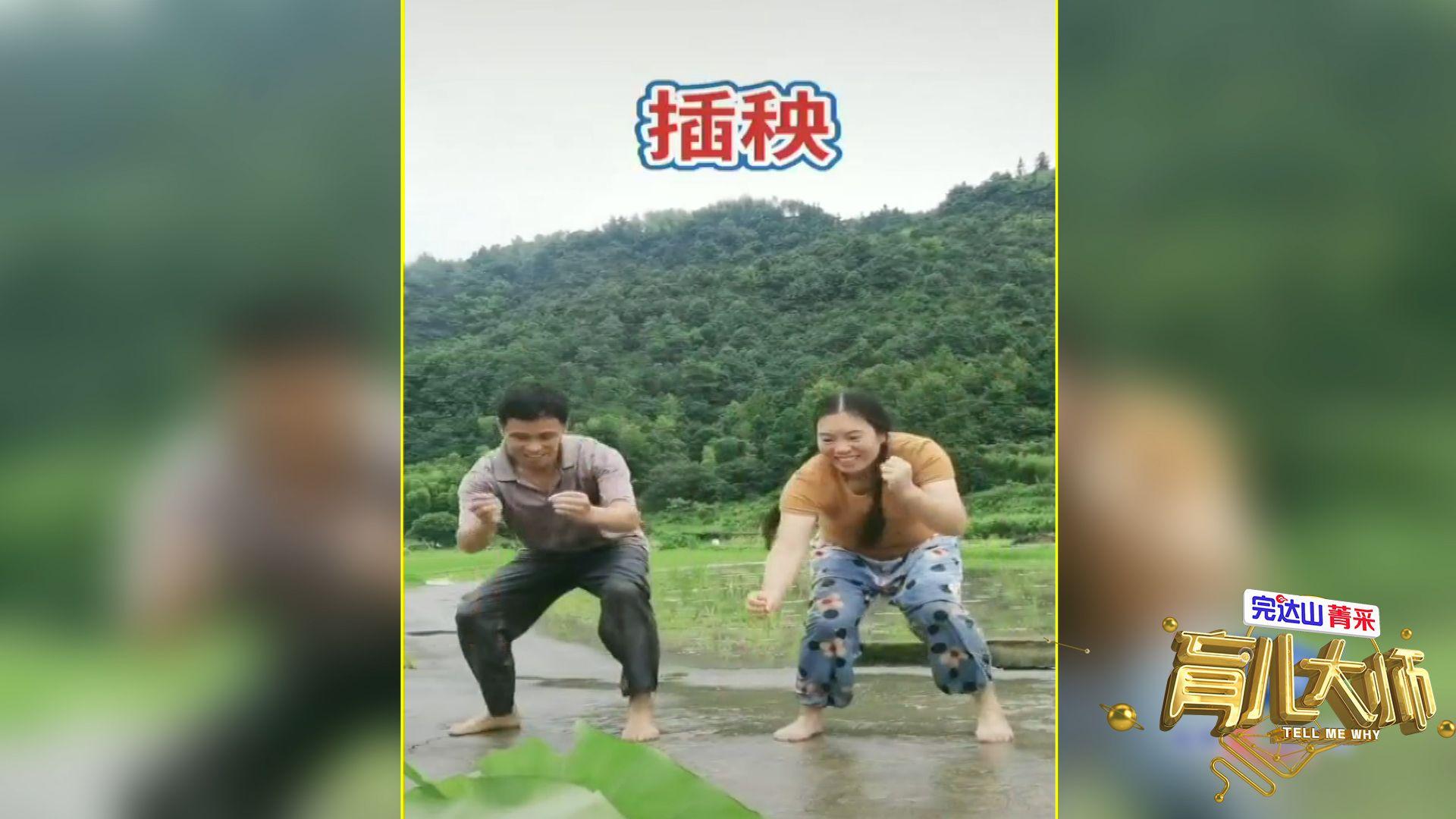 插秧界的“101斑点狗”：情侣联手玩转农田，创新农艺嗨翻全场