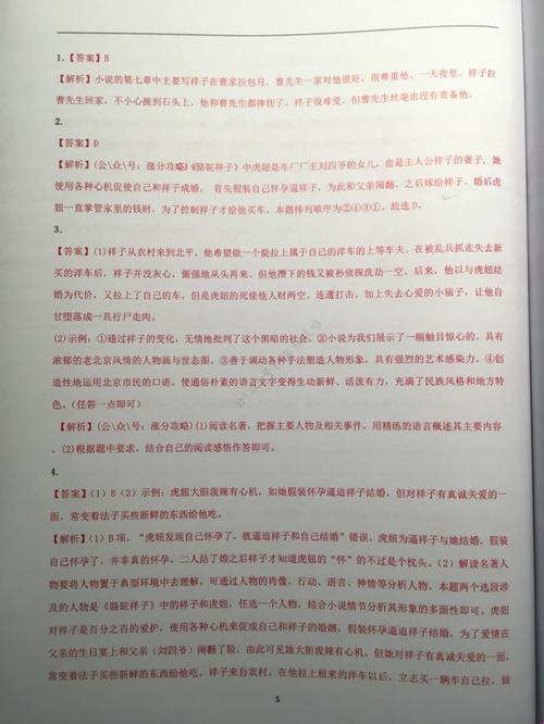 农田间的智慧老妪：科技新潮流的领跑者