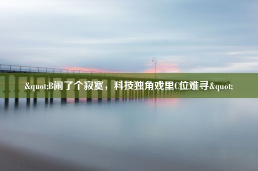 "B闹了个寂寞，科技独角戏里C位难寻"