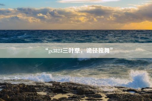 “gx3823三叶草，诡径独舞”