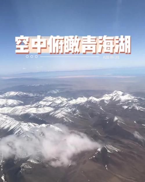 “6229JMy，无人区的神秘代码，科技圈的搞笑担当！”