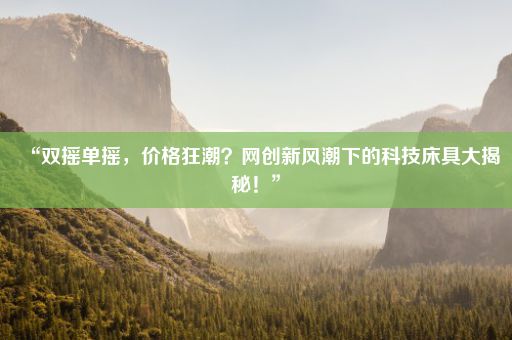 “双摇单摇，价格狂潮？网创新风潮下的科技床具大揭秘！”