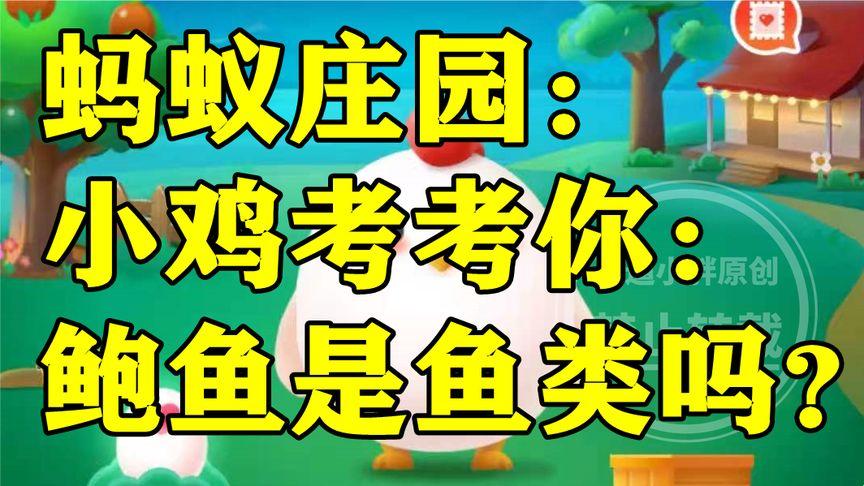 “鲍鱼不是鱼？小鸡提问引爆科技圈，创新答案让你大跌眼镜！”
