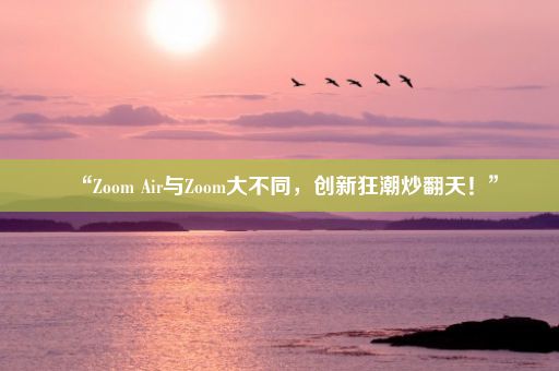“Zoom Air与Zoom大不同，创新狂潮炒翻天！”