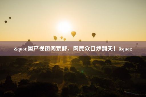 "国产视窗闯荒野，网民众口炒翻天！"