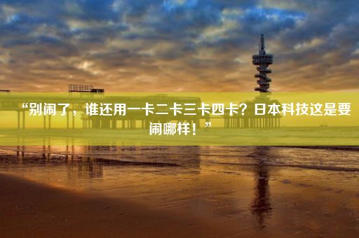 “别闹了，谁还用一卡二卡三卡四卡？日本科技这是要闹哪样！”
