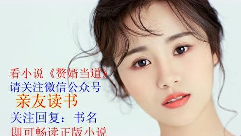 赘婿岳风柳萱:科技狂潮中的俏皮匠心