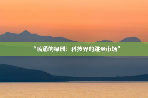 “喷涌的绿洲：科技界的跳蚤市场”