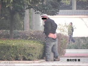 大同老顽童晒‘根’宝图，网友笑谈：这是科技养老的新招数？