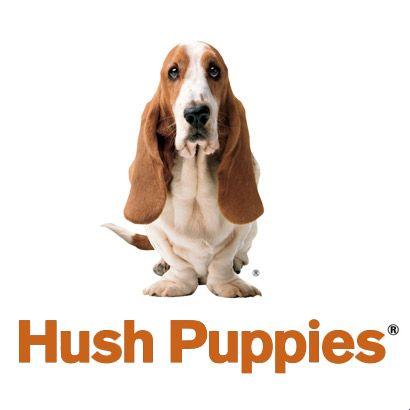 hushpuppies狗：一场人狗情未了的故事