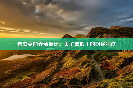 老杰克的养殖诡计:美子暑假工的网民狂欢