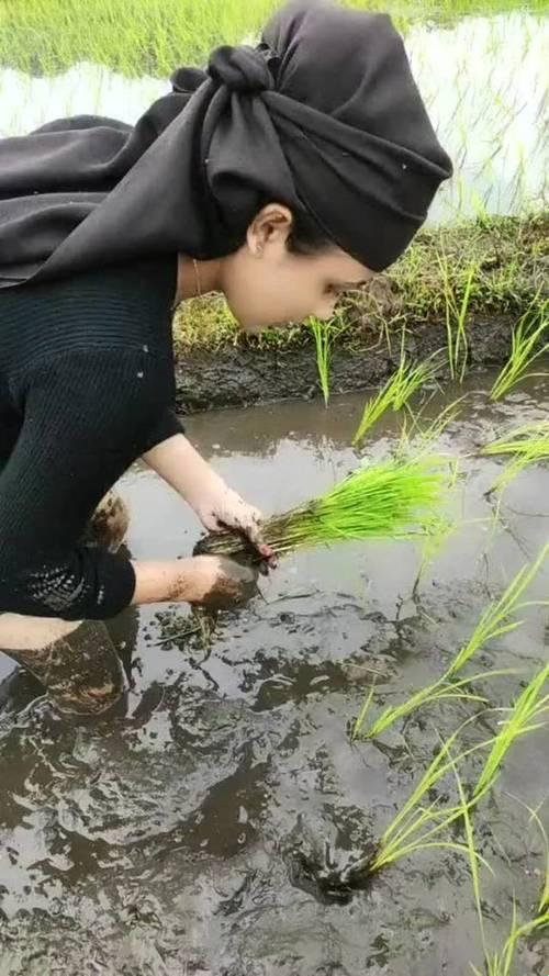 《时尚界的“插秧热”:笑谈女性新潮流》