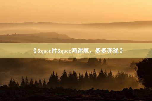 《"片"海迷航，多多亦扰》