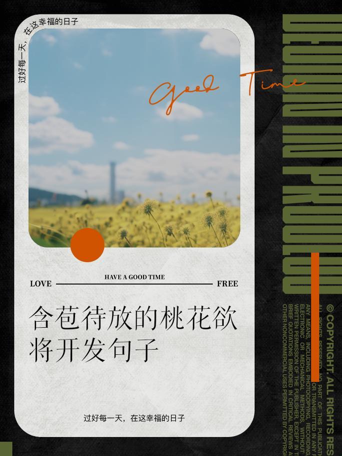 破壳而出，桃花编程语