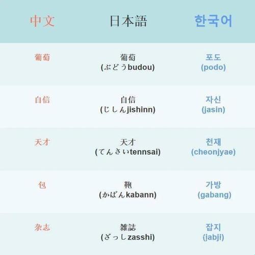 “日韩风韵大不同，网民热议笑翻天”