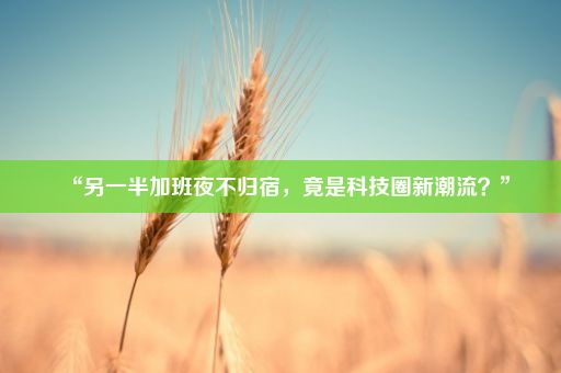“另一半加班夜不归宿，竟是科技圈新潮流？”