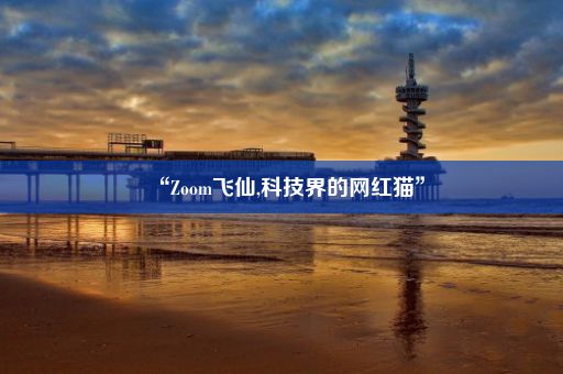 “Zoom飞仙,科技界的网红猫”