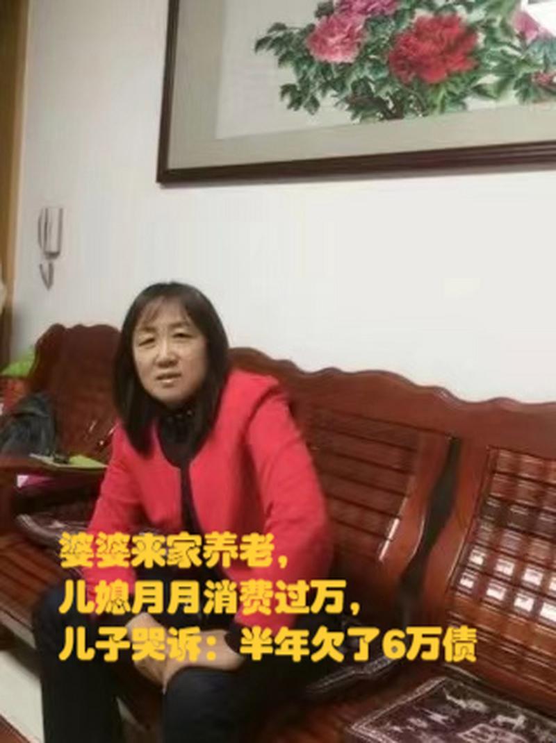 “科技界的儿媳月月”:惊喜连连的“砖家”解读