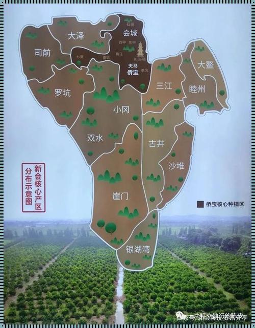 “一秒钟认清亚洲产区！一线二线？笑谈间的新潮流！”