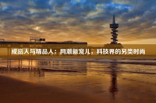 成品人与精品人：网潮新宠儿，科技界的另类时尚