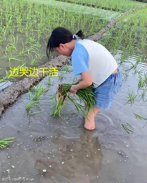 《耕女传奇:科技花田的奇幻漂流》