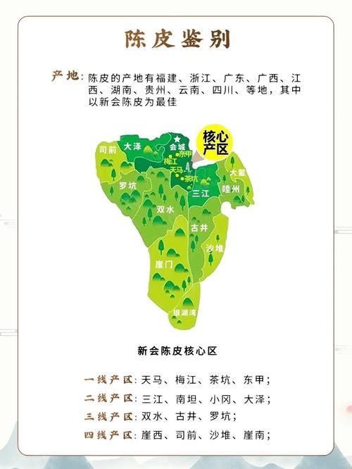 《科技江湖:天马与三江的“奇葩”创新战!》