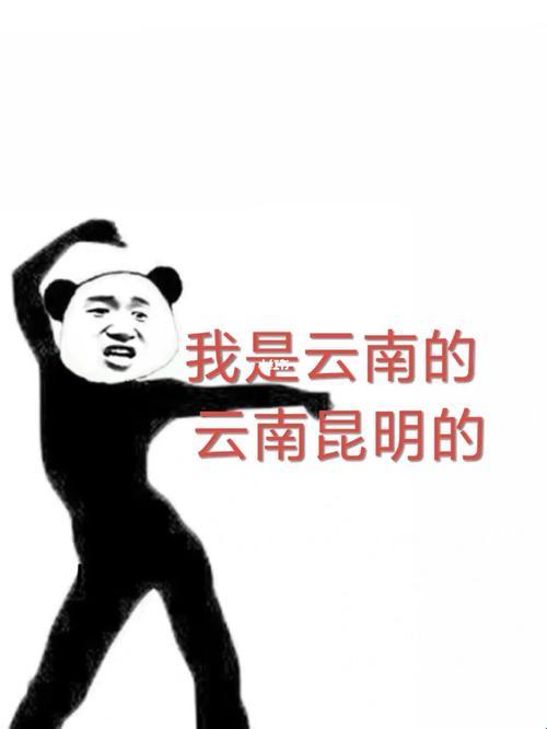 《云南奇缘:51CG狂热朝阳族裔的幽默暴走》