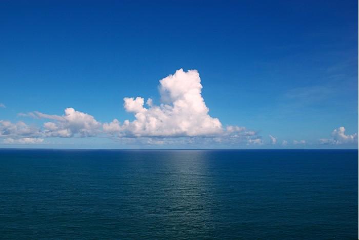 “海”潮澎湃，创新闹剧？
