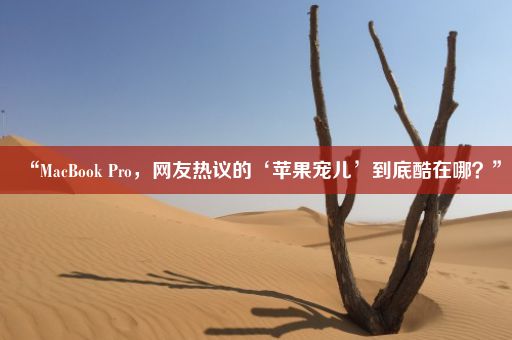 “MacBook Pro,网友热议的‘苹果宠儿’到底酷在哪?”