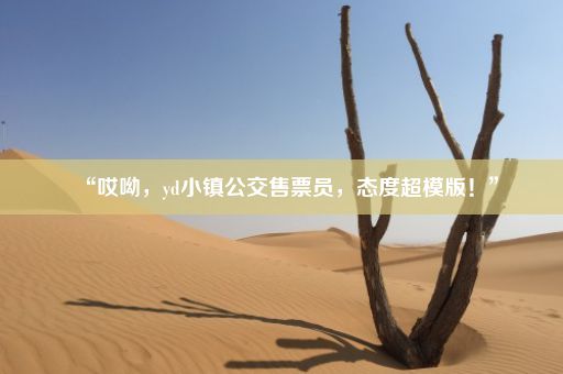 “哎呦,yd小镇公交售票员,态度超模版!”