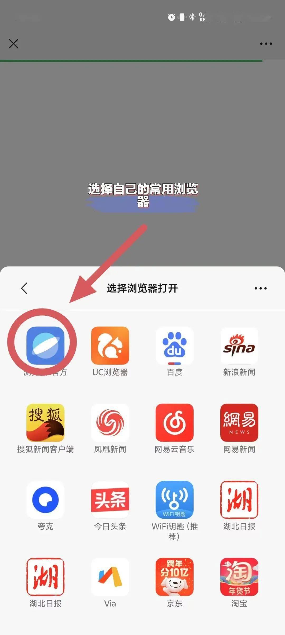 网界探秘:一窥浏览器背后的神奇入口