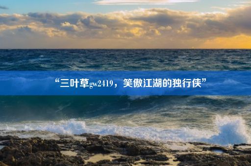 “三叶草gw2419,笑傲江湖的独行侠”