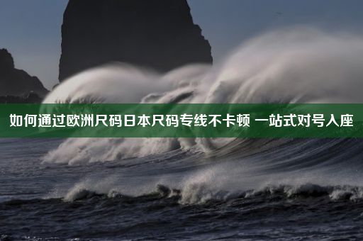 如何通过欧洲尺码日本尺码专线不卡顿 一站式对号入座