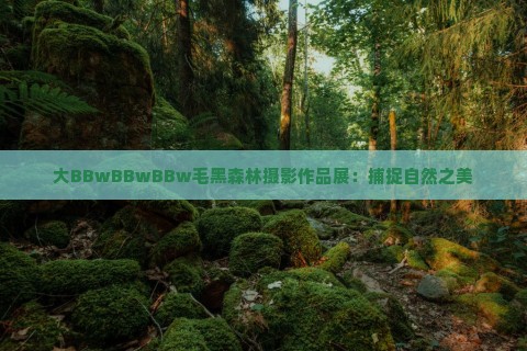 大BBwBBwBBw毛黑森林摄影作品展:捕捉自然之美