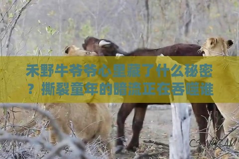 禾野牛爷爷心里藏了什么秘密？撕裂童年的暗流正在吞噬谁