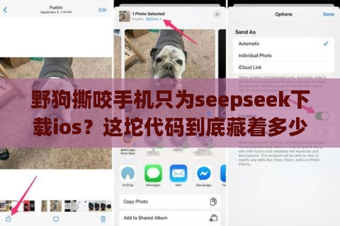 野狗撕咬手机只为seepseek下载ios？这坨代码到底藏着多少爱恨