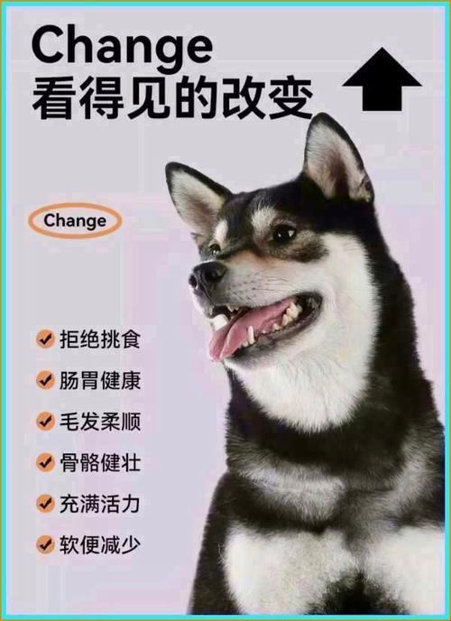 你家狗子突然开口要胶水？这份配方手册藏着什么黑科技！