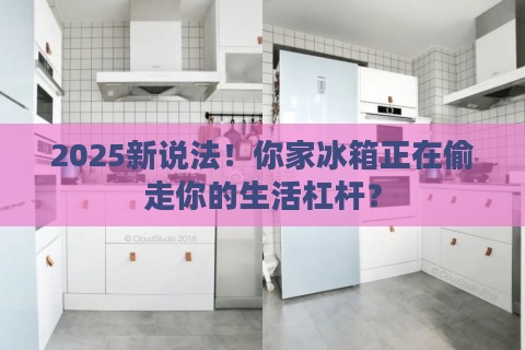 2025新说法!你家冰箱正在偷走你的生活杠杆?