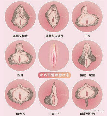 机器人的外阴形状：设计与伦理的碰撞